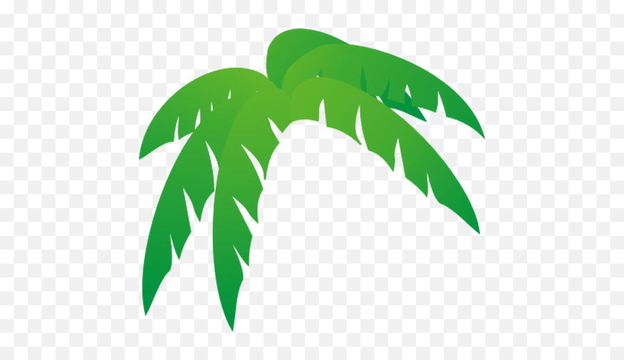 Palms Tree Leaves Vector Illustration - Palm Tree Leaves Clip Art Emoji,Palm Tree Drink Emoji