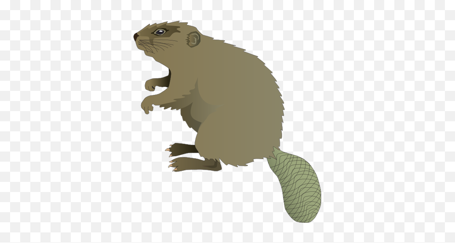 8 Anim Beaver Load20180523 Pngimg004 - North American Beaver Clip Art Emoji,Beaver Emoji