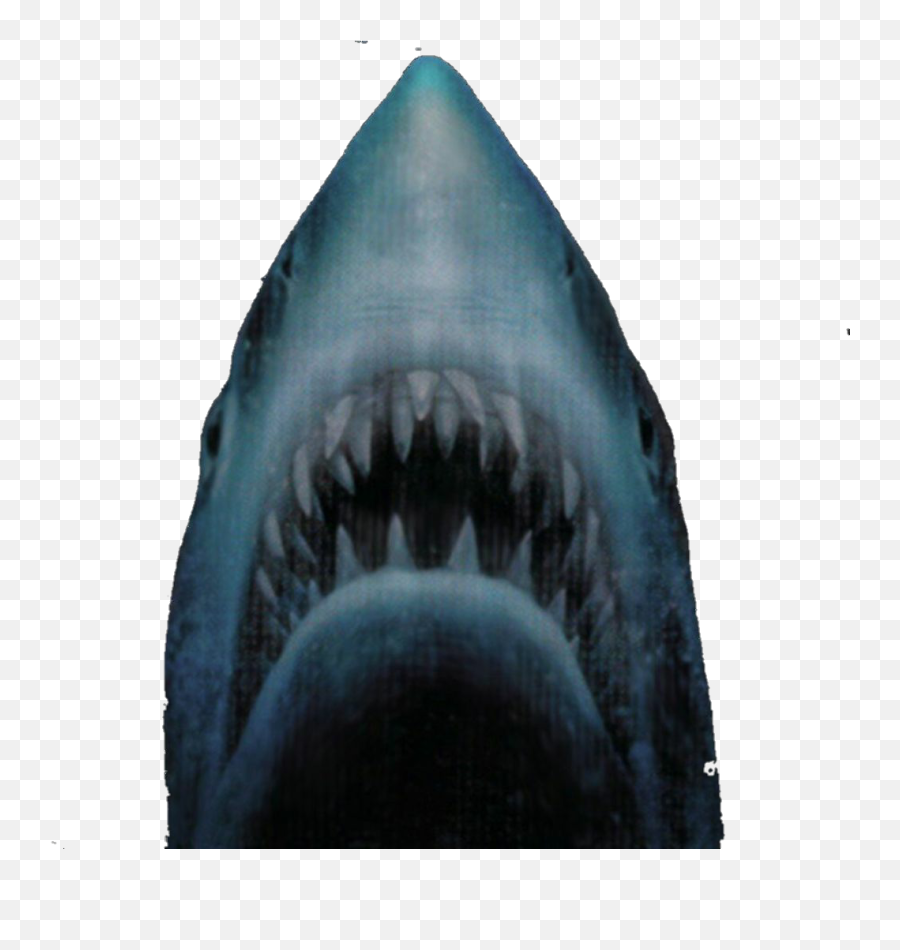 Jaws Shark - Jaws Png Emoji,Jaws Emoji