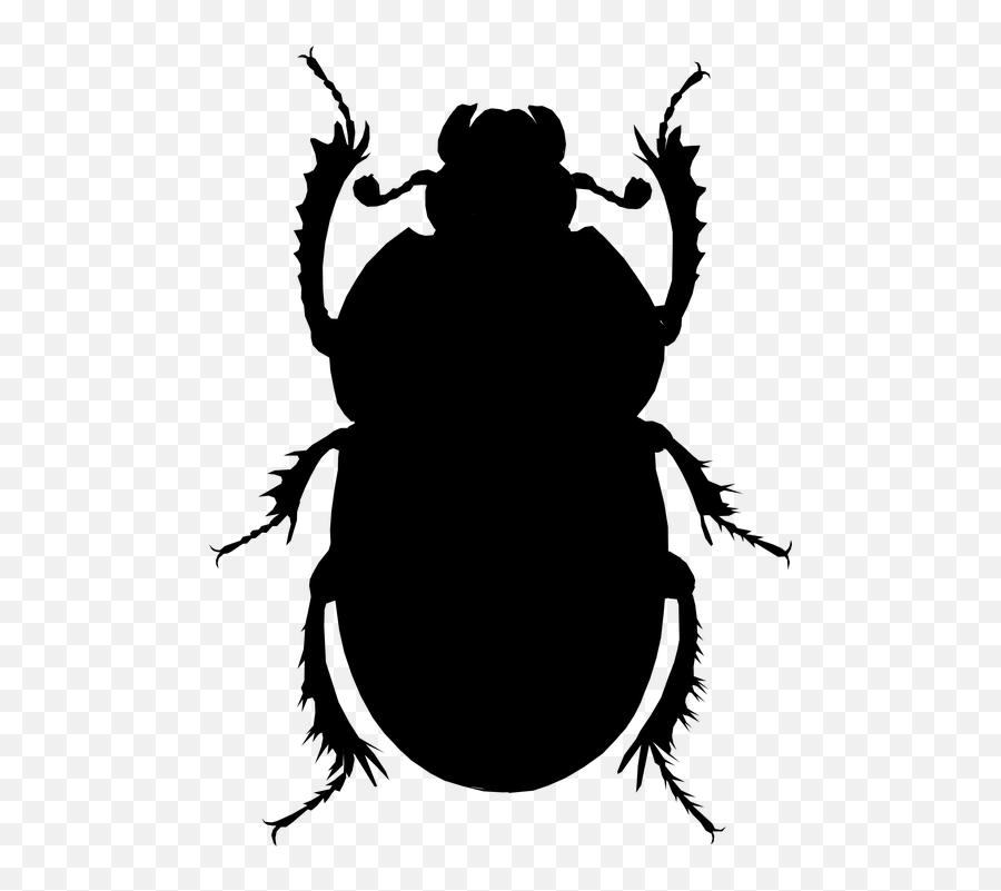 Beetle Silhouette Black Goliathbeetle Freetoedit - Egyptian Scarab Beetle Clipart Emoji,Beetle Emoji