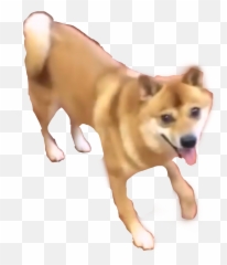 Dancing Doge Shibe Shibenation Meme Doge Dancingdoge - Dancing Dog Meme Transparent Emoji,Doge Emoji