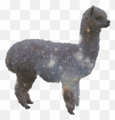 The Llama Thread - Glitter Alpaca Emoji,Drama Llama Emoji