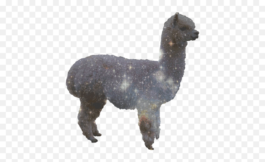 The Llama Thread - Glitter Alpaca Emoji,Drama Llama Emoji