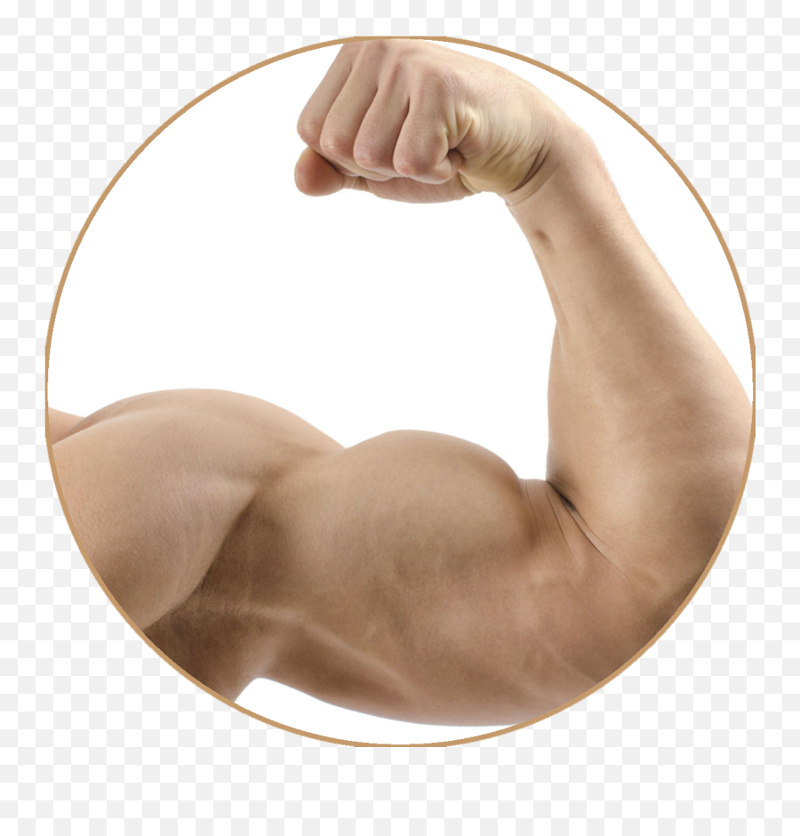 Download Emoji Muscle Png Image With No Background - Anatomy Male Arm Muscles,Muscle Emoji Png