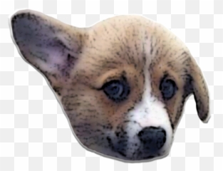 PuppyMe by Diane Korongy - Sad Corgi Emoji
