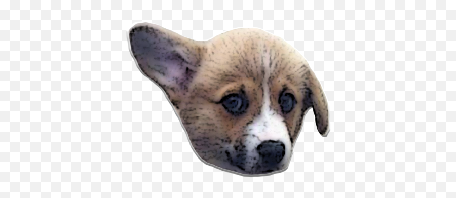 Puppyme By Diane Korongy - Sad Corgi Puppy Emoji,Puppy Dog Eyes Emoji