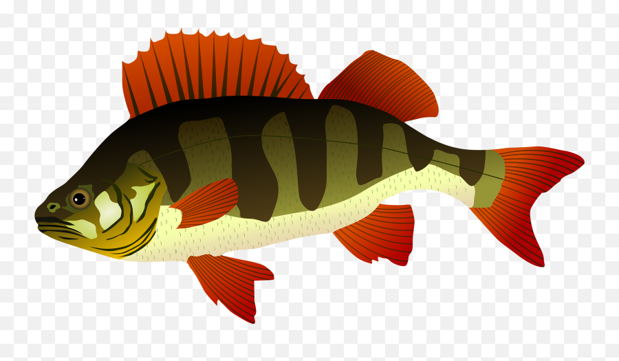 Library Of Bass Fish And Fishing Rod Svg Freeuse Stock Png - Clipart Fish In Png Emoji,Fishing Pole Emoji