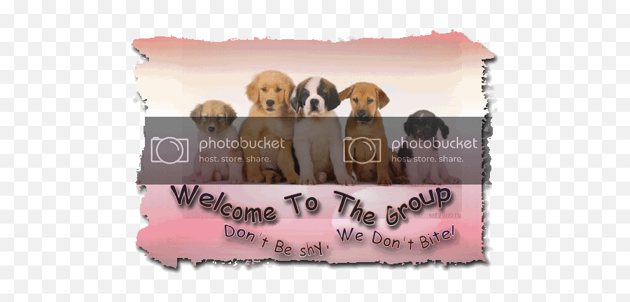 Dog Lovers Temple Illuminatus Welcome To The Group Gif - Lowgif Fond D Écran Chiot Emoji,Bye Dog Emoji