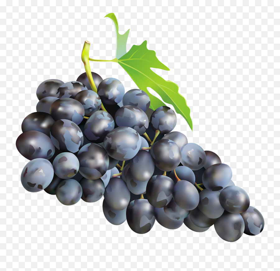 Grape Emoji Png - Black Grapes Png,Grape Emoji Png