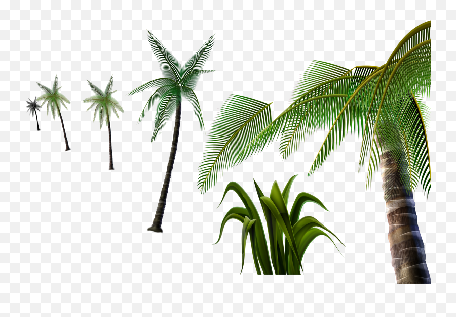 3d Palm Tree Png Picture 791963 3d Palm Tree Png - Coconut Emoji,Palm Tree Emoji Transparent
