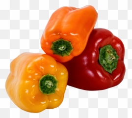 Pepper Png Images Black Green Chilli Clipart Free - Bell Peppers Transparent Emoji