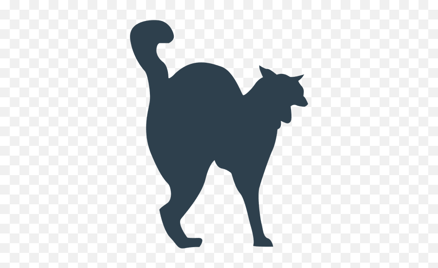 The Best Free Scared Silhouette Images - Animal Emoji,Scared Cat Emoji