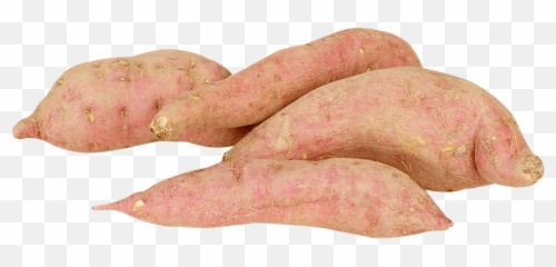 Sweet Potato Png Picture - Sweet Potato Png Emoji,Yam Emoji