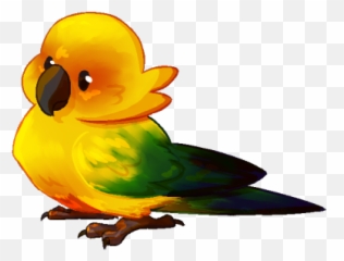 Sun Parakeets - Conure Parrot Drawing Emoji