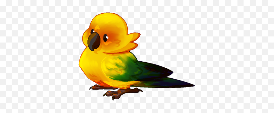 Sun Parakeets - Sun Conure Parrot Drawing Emoji,Parrot Emoticon