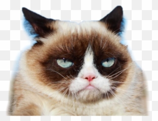 Grumpy Cat Grumpycat - Small Emoji