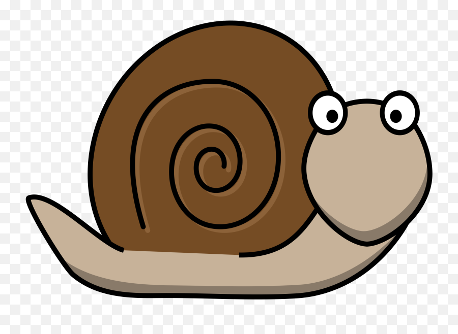 Insects Clipart Snail Insects Snail Transparent Free For - Snail Clipart Free Emoji,Snail Emoji