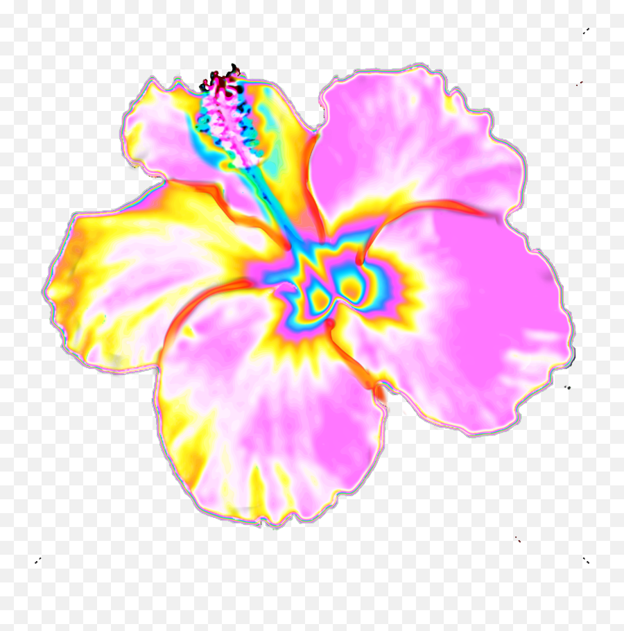 Hibiscus Flower Hawaii Tropics Garden - Hibiscus Emoji,Hawaiian Flower Emoji