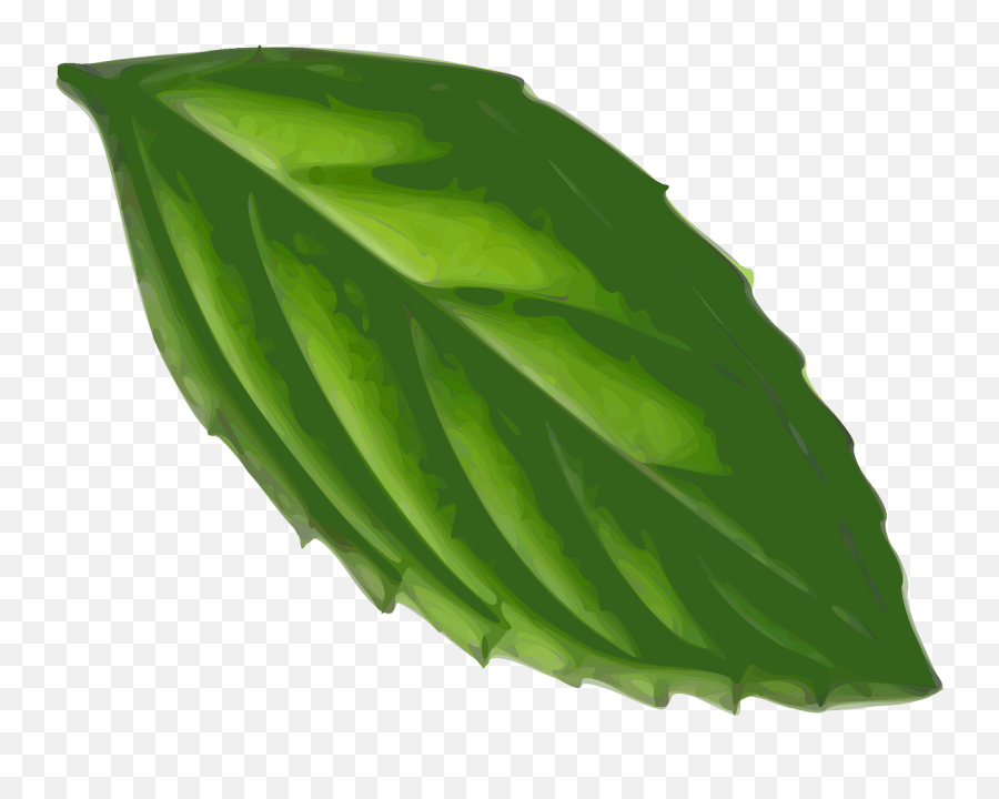 Mint Leaf Plant Nature Tea - Mint Leaf Clipart Emoji,Weed Leaf Emoji