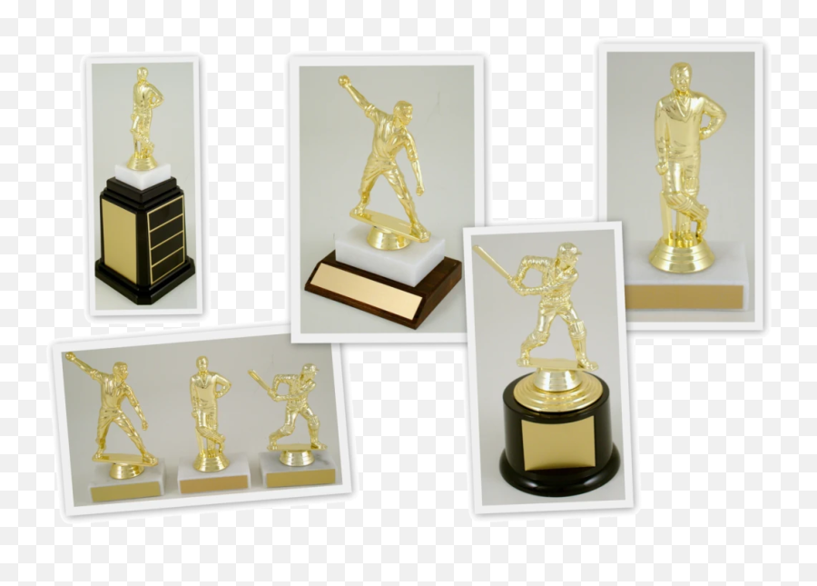 Cricket Trophies And Awards Medals - Trophy Emoji,Horse Trophy Flag Emoji