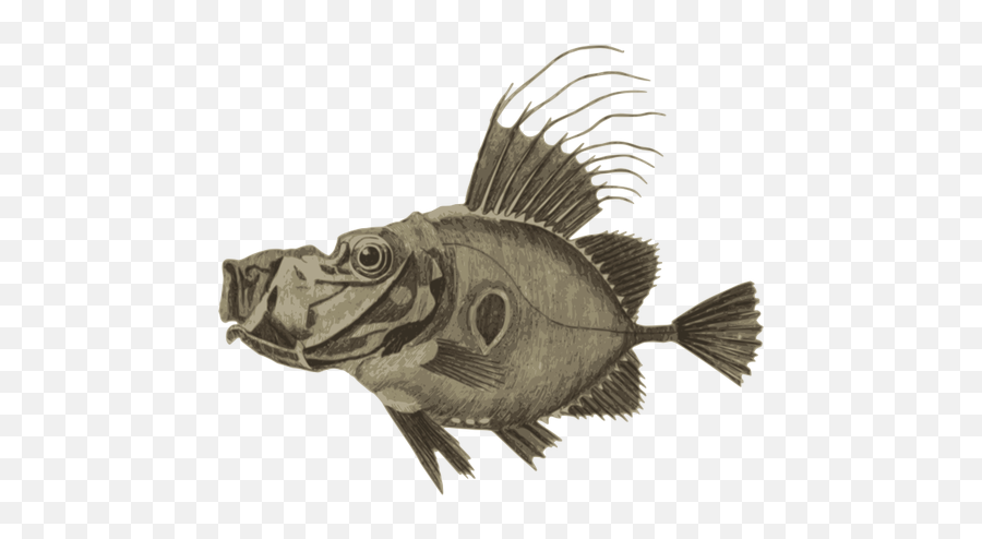 Doree Fish - Clip Art Emoji,Jesus Fish Emoji
