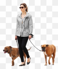 Woman - Walking A Dog Png Emoji