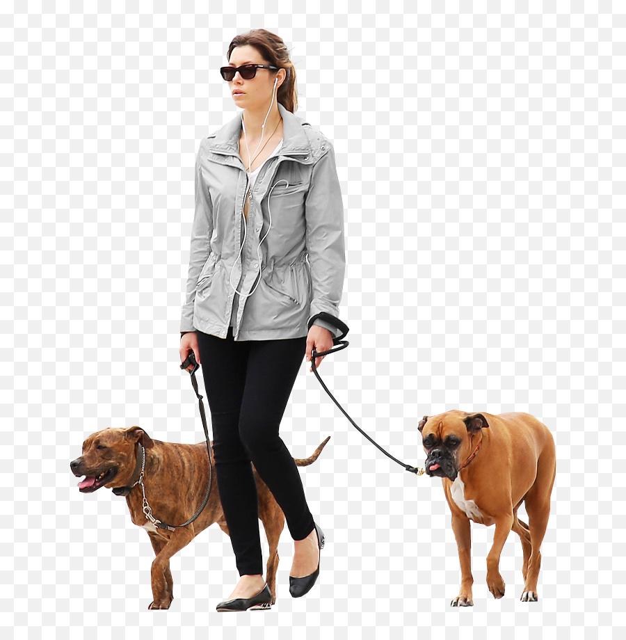 Woman - Walking A Dog Png Emoji,Dog Walking Emoji