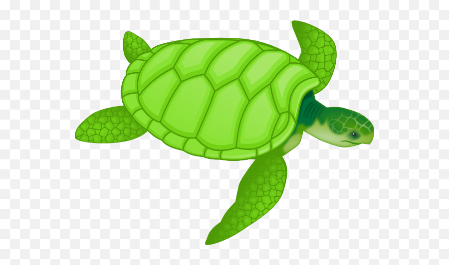 Free Turtle Png Clipart Download Free - Sea Turtle Clipart Emoji,Turtle Emoji