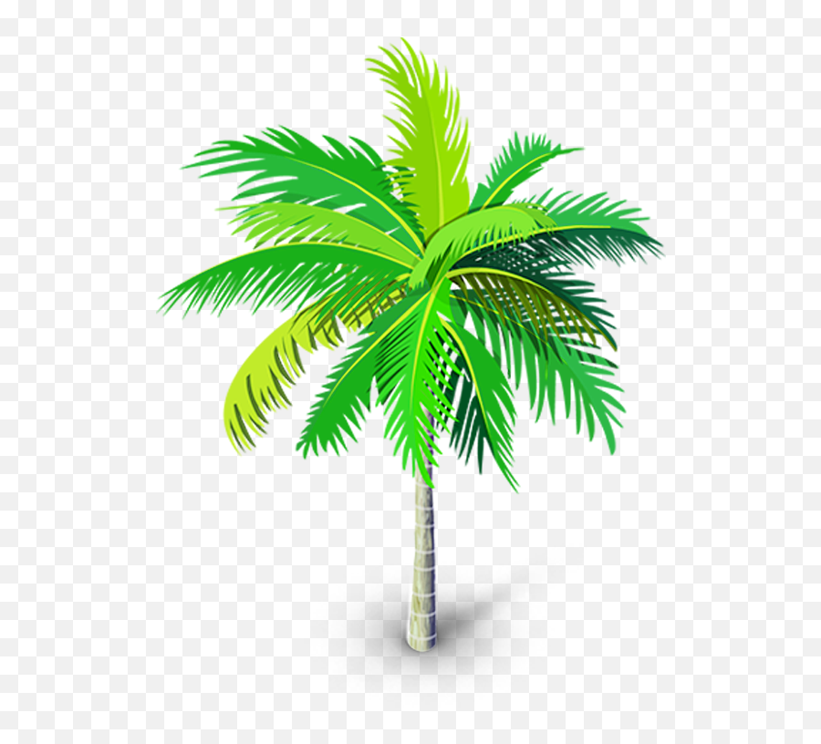 Download Palm Tree Png Palm Trees - Transparent Background Palm Tree Clip Art Png Emoji,Palm Tree Emoji