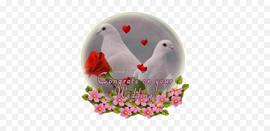 Top Marriage Cartoon Stickers For Android U0026 Ios Gfycat - Happy Married Life Gif Emoji,Marriage Emoji