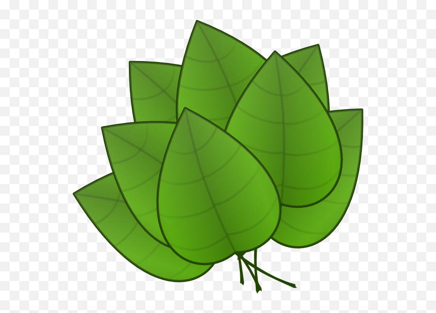 Jungle Leaf Clipart Free - Leaves Clipart Emoji,Jungle Emoji