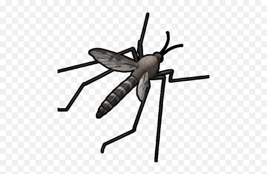 Mosquito Sound Apks - Anti Mosquito Logo Png Emoji,Mosquito Emoji