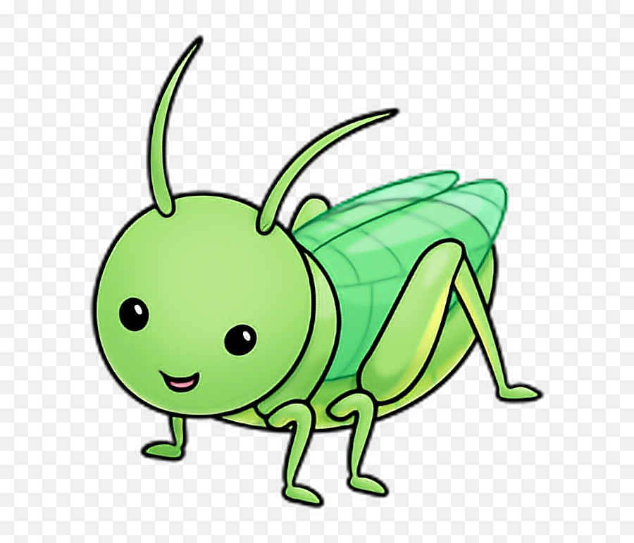 Insect Insects Bug Bugs Grasshopper Sticker Stickers - Saltamontes Kawaii Emoji,Grasshopper Emoji