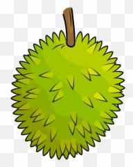 Durian clipart Free download transparent PNG Creazilla - Clipart Emoji