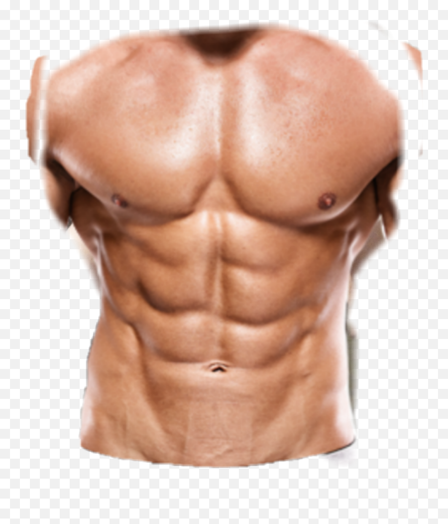 Six Pack Sticker By Virgfgamer2 - Abs Front Emoji,Bodybuilder Emoji