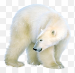 Emoji Japan Polarbear Bear Kawaii - White Bear Emoji,Polar Bear Emoji ...