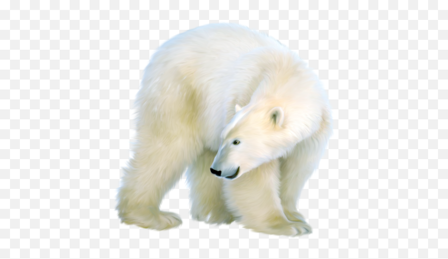 Polar Bear Png Official Psds - Polar Bears Art Png Emoji,Polar Bear Emoji