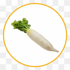 Trending Radish Stickers - Carrot Emoji,Radish Emoji