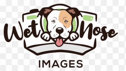 Halifax Dog Photographer - Blog U2014 Wet Nose Images Emoji,Puppy Dog Eyes Emoji