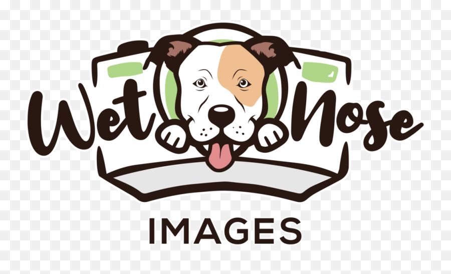 Halifax Dog Photographer - Blog U2014 Wet Nose Images Emoji,Puppy Dog Eyes Emoji