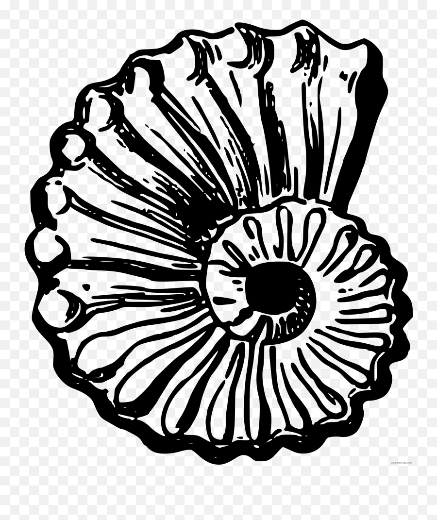 Black And White Seashell Coloring Pages Seashell7 Printable - Sea Shell Line Art Emoji,Seashell Emoji