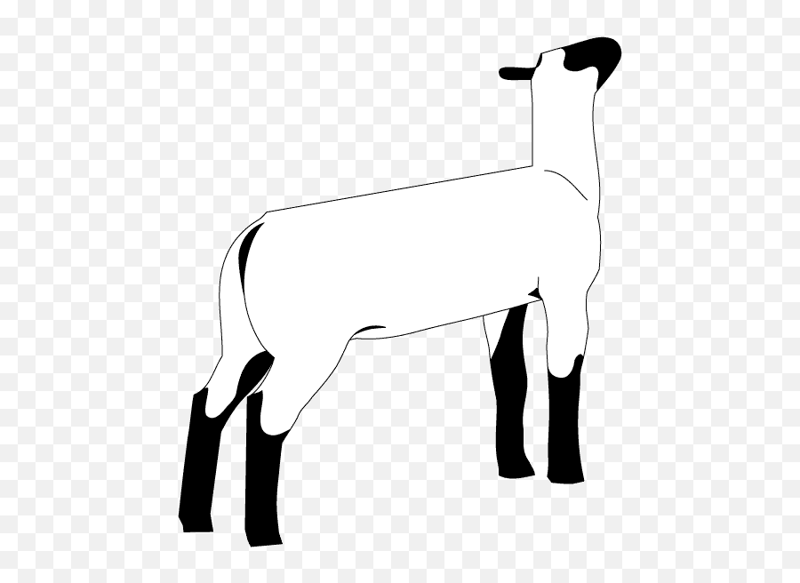 Black Sheep Goat Silhouette - The Year Of The Sheep Png Show Lamb Clipart Emoji,Black Sheep Emoji