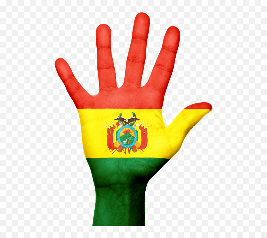 Bolivia Flag Hand - Hand Flag In Niger Emoji,Bolivian Flag Emoji