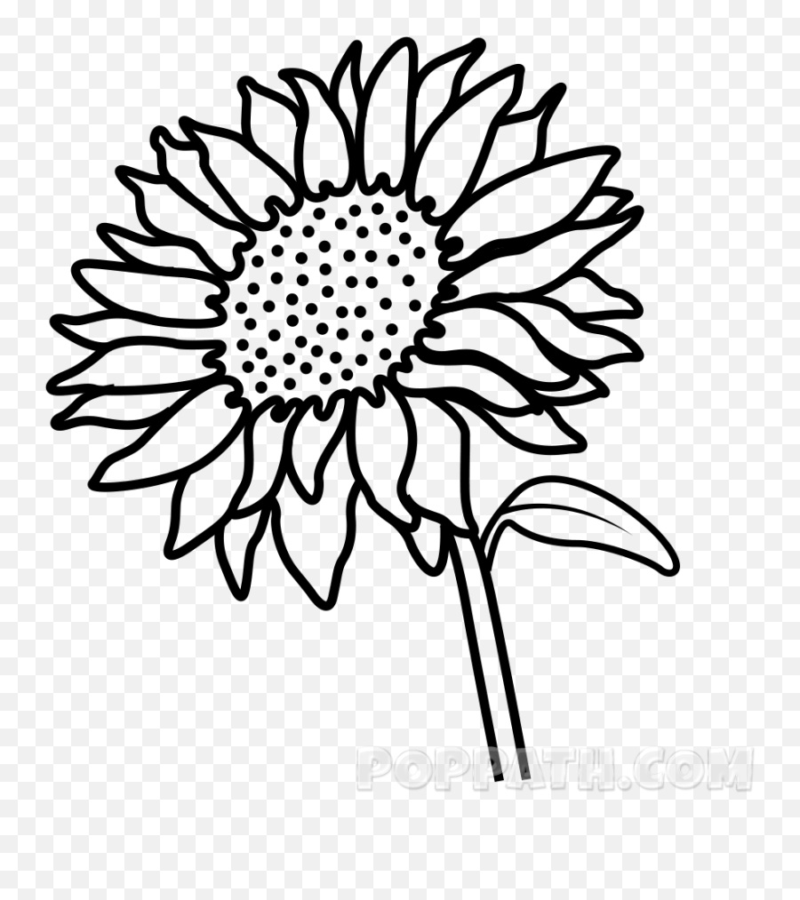 How To Draw A Sunflower - Sunflowers Clip Art Black And White Emoji,Lotus Flower Emoji