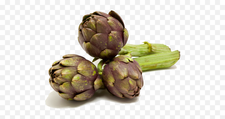 Artichokes Free Download Hq Png Image - Artichoke Emoji,Custard Emoji