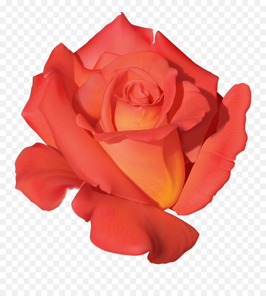 Emoji Clipart Rose Emoji Rose Transparent Free For Download,Red Flower Emoji