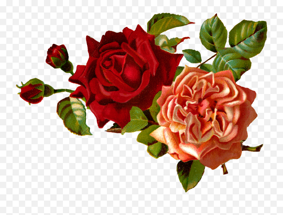 Red Flower Clipart Vintage Red - Transparent Vintage Flowers Vintage Red Flower Png Emoji,Bouquet Emoji