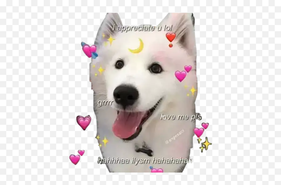 Friends - Hearts Meme I Appreciate You Dog Emoji,Eskimo Emoji
