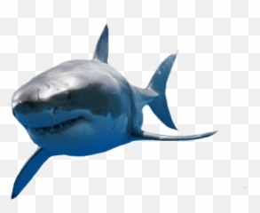 Space Shark Roblox Christmas Pant Emoji Shark Emoji Iphone Free Transparent Emoji Emojipng Com - melon shark roblox