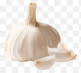 Garlic Clipart - Garlic Png Emoji,Garlic Emoji